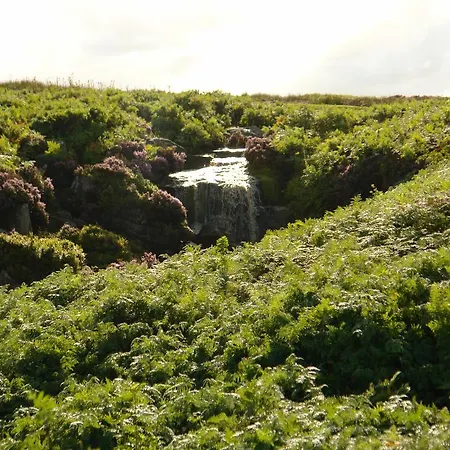 Konukevi The Moorhouse